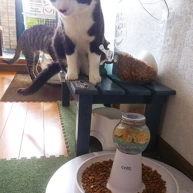 Aayaさんの実例写真
