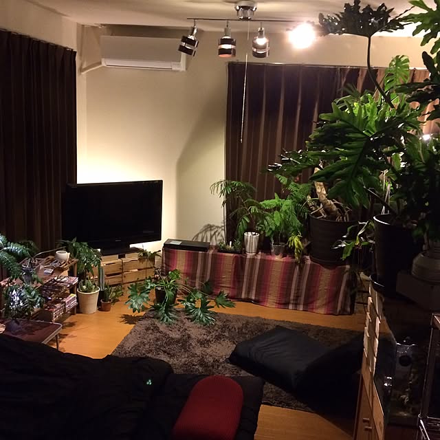Taketoさんの実例写真