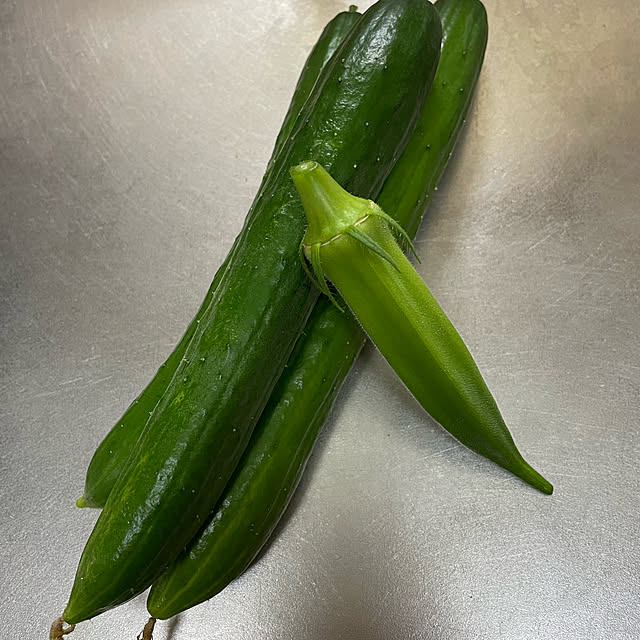 kappaさんの実例写真