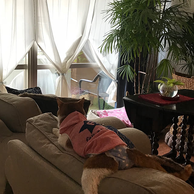 yurincaさんの実例写真
