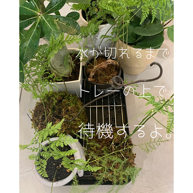 h_home.hさんの実例写真
