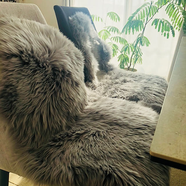 ukoさんの実例写真