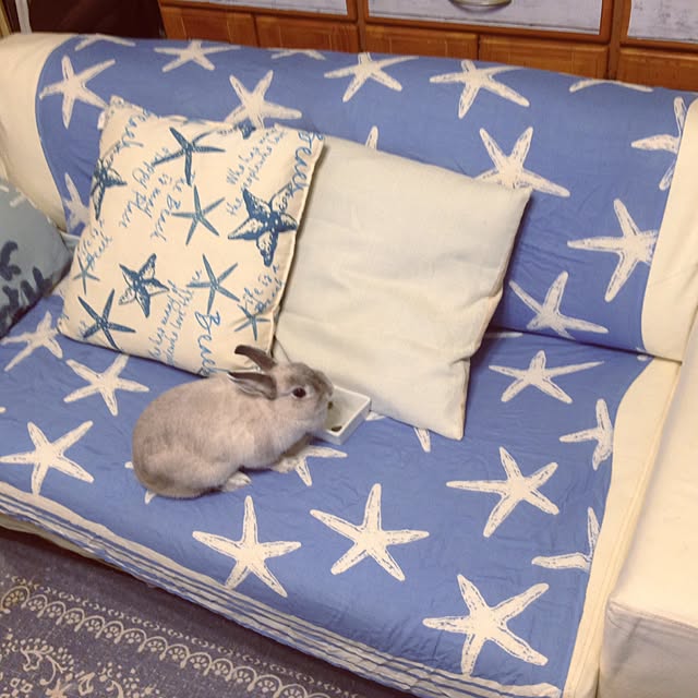 yokomokoさんの実例写真