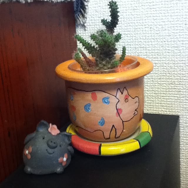 emichanbooさんの実例写真