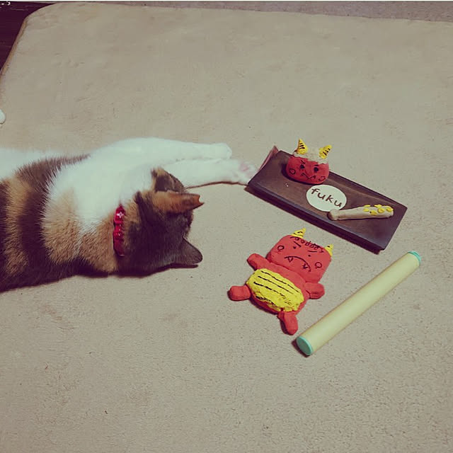 fukuさんの実例写真