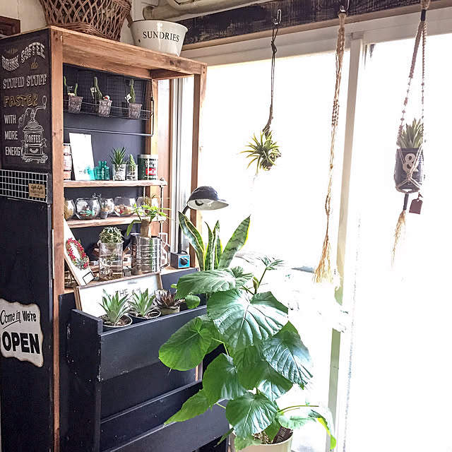 natulove0418さんの実例写真