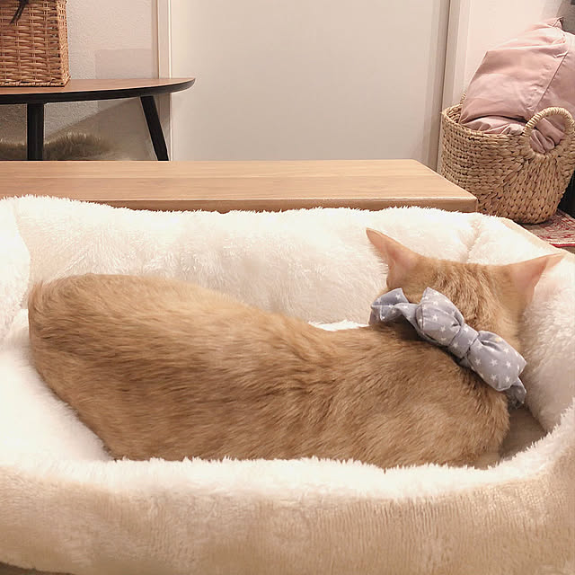 home_m_styleさんの実例写真