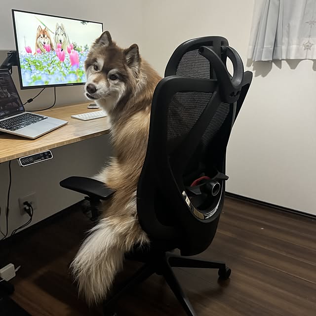 FlexiSpot_JPさんの実例写真