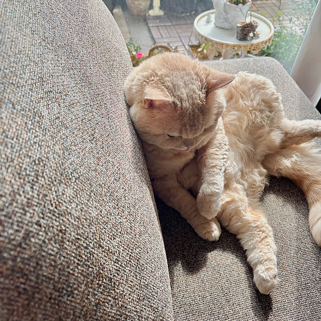 naokoさんの部屋