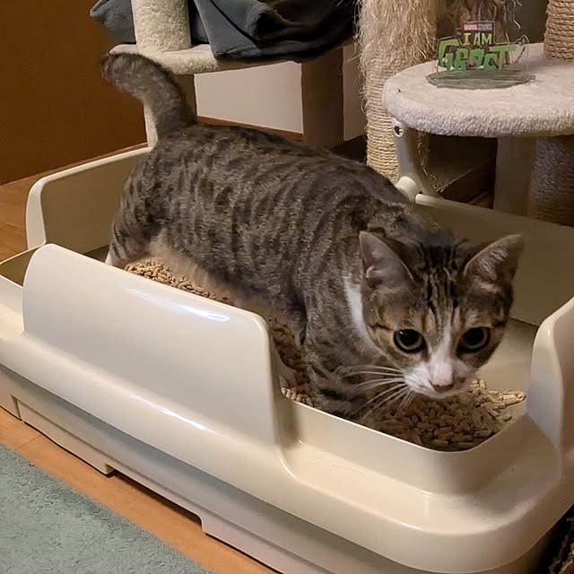 diopucciさんの実例写真