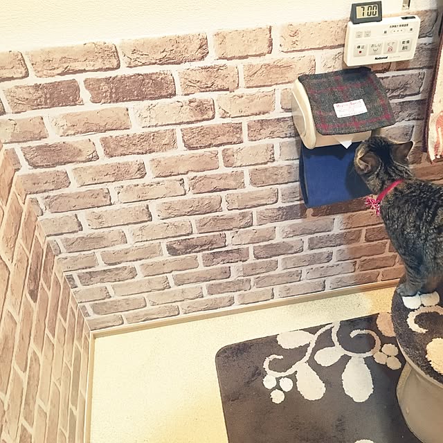 covu.さんの実例写真