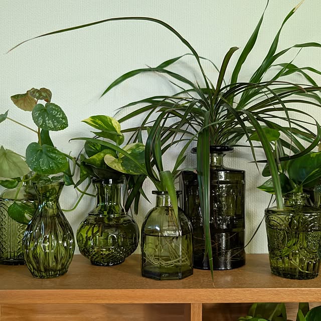 ayamameさんの部屋