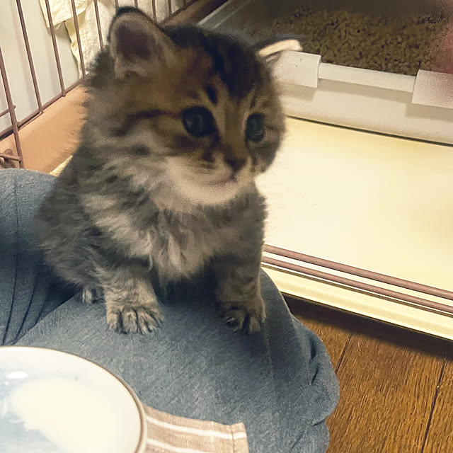 Mさんの部屋