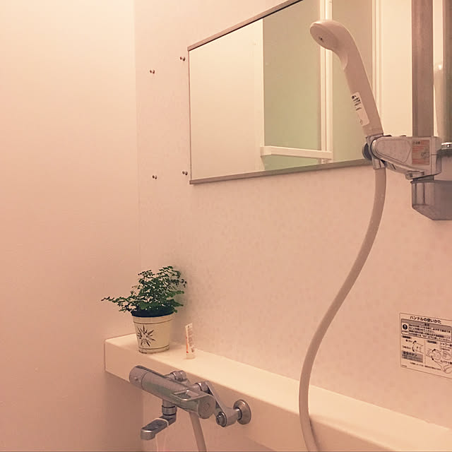 バス/トイレのインテリア実例 - 2019-05-26 10:16:17