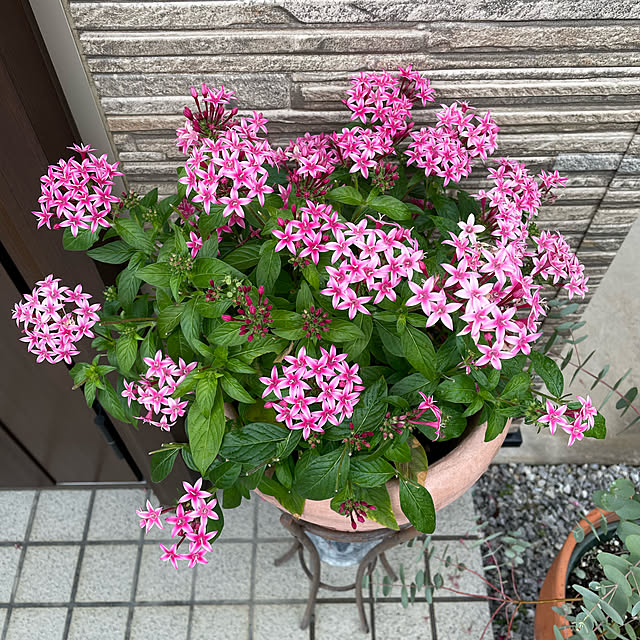 ronronさんの実例写真