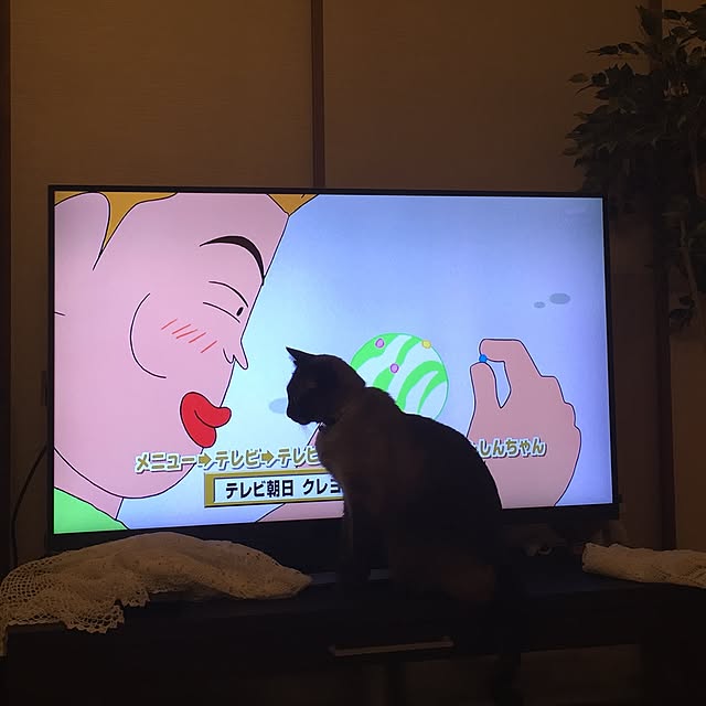 dodoさんの実例写真