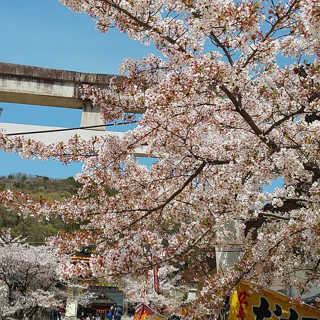KOHAKUさんの部屋