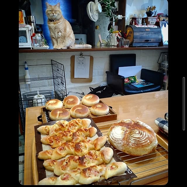 mntcさんの実例写真