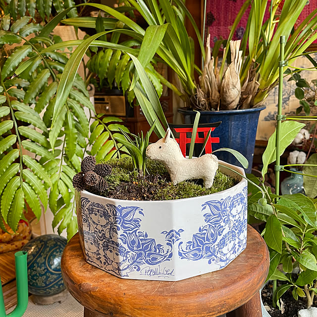 shin0719さんの実例写真