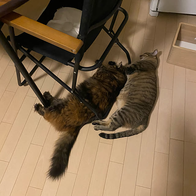 mikomaruさんの実例写真
