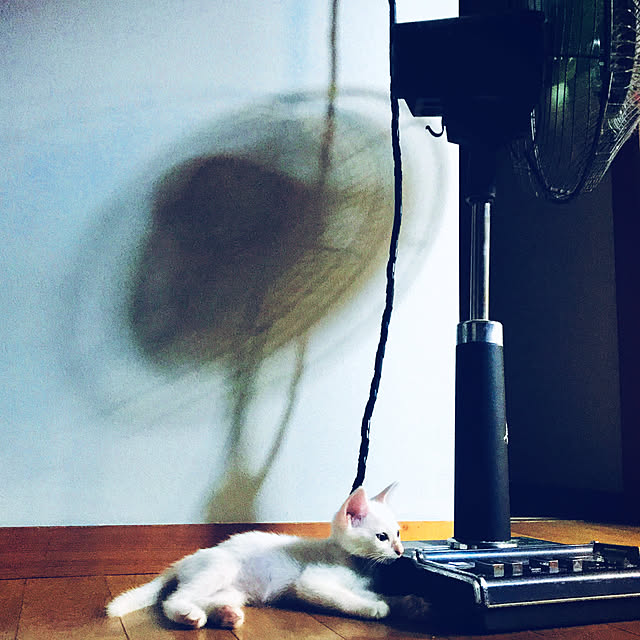 maroさんの実例写真