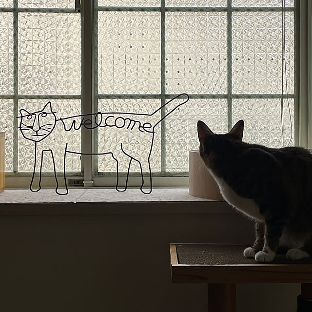 nobikoさんの部屋