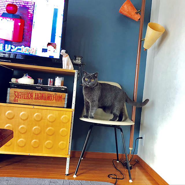 Shojiさんの実例写真