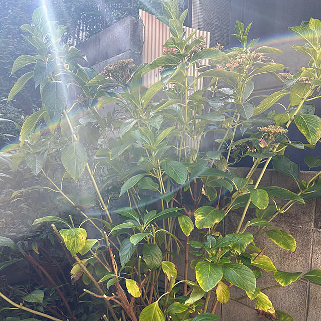 fumikoiさんの部屋