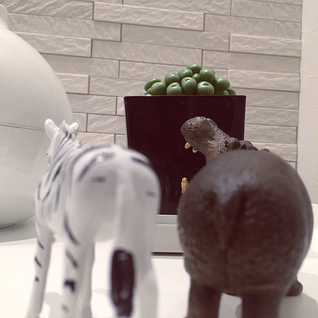 riakanaさんの実例写真