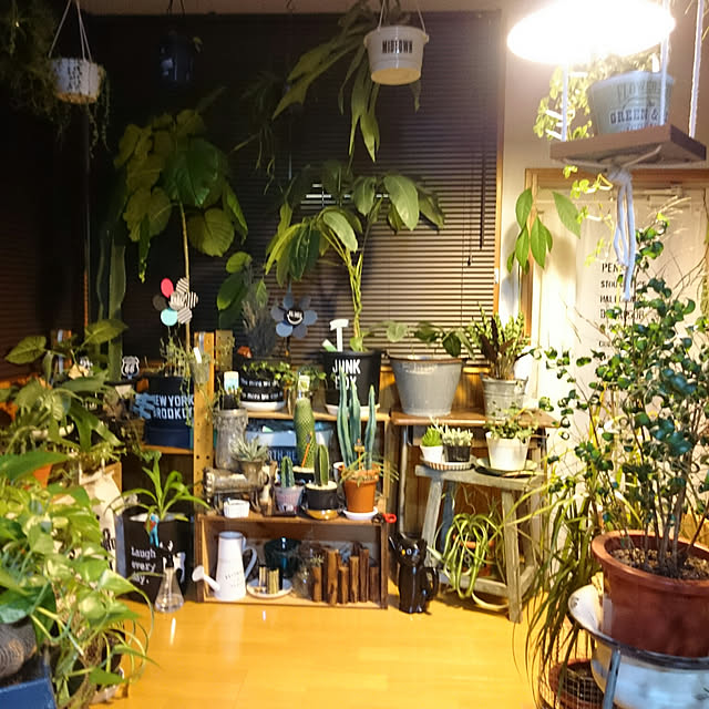 tikuwaさんの実例写真