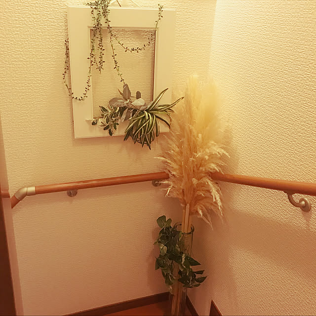 noharaさんの実例写真