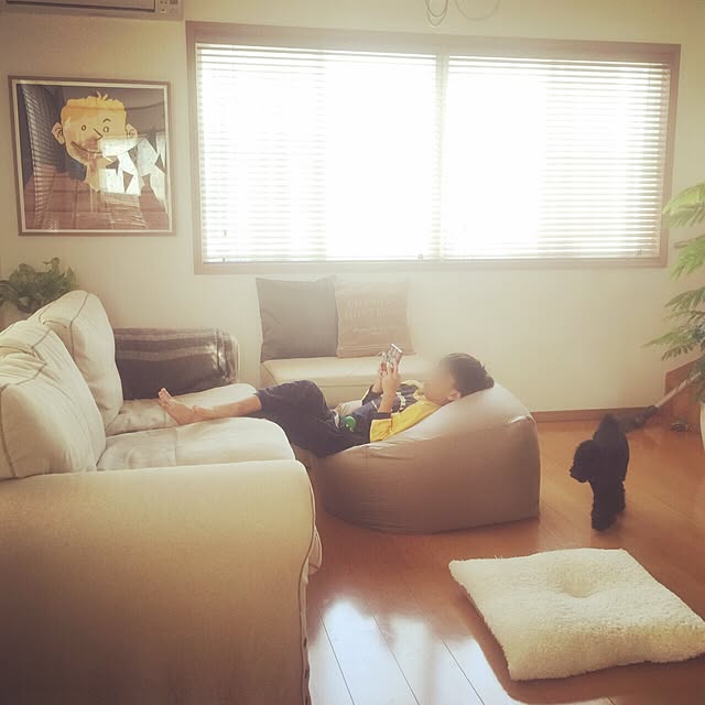 megさんの実例写真