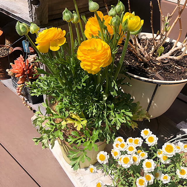 yukkoさんの部屋