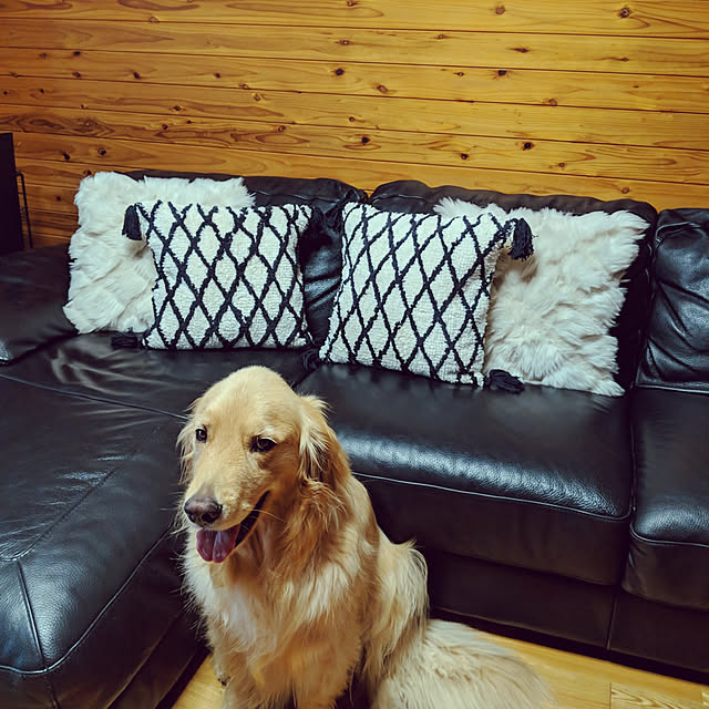 woodyさんの実例写真