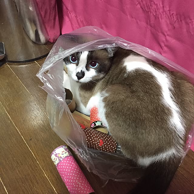 vivienne.coco-keiさんの実例写真