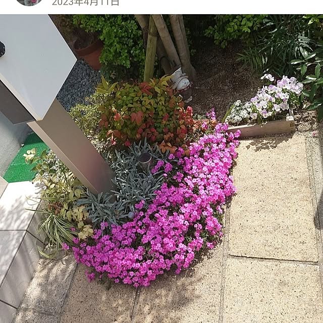 mmfamilyさんの部屋