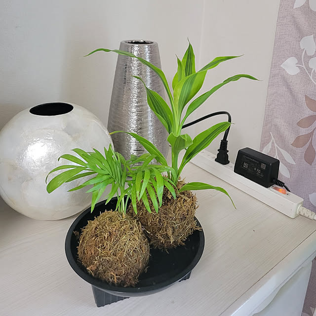 Manamiさんの実例写真