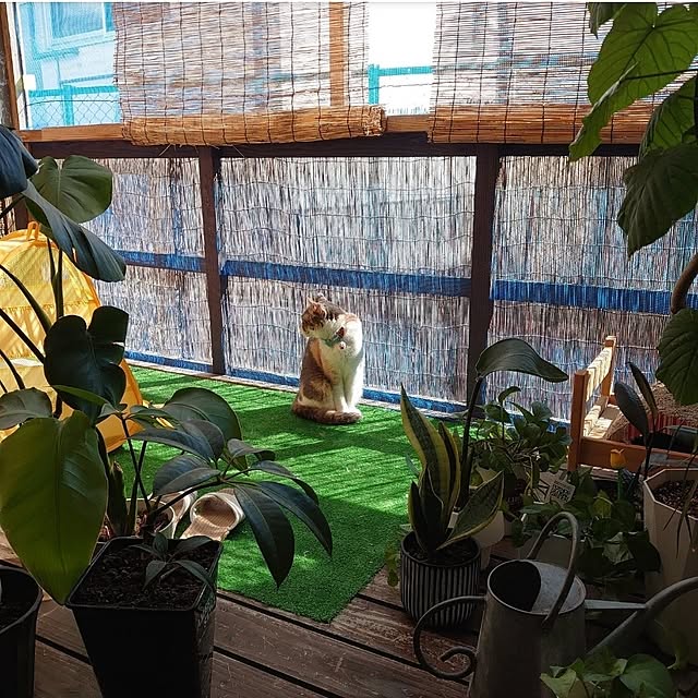 fukuさんの部屋