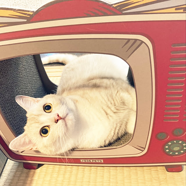 SAMEさんの実例写真