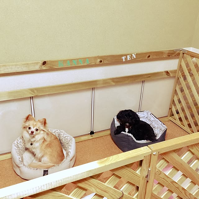 ichi.さんの実例写真