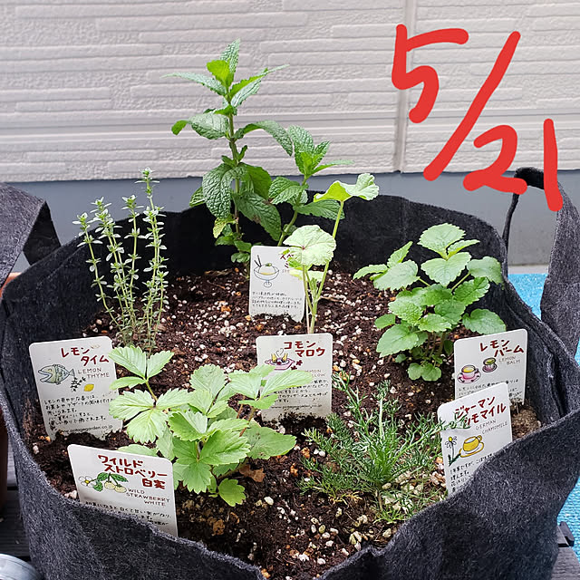 emiさんの実例写真