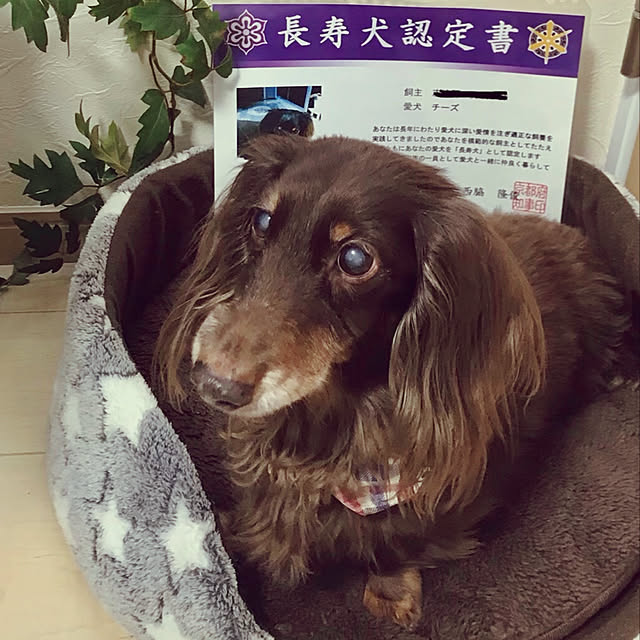 fuuさんの実例写真