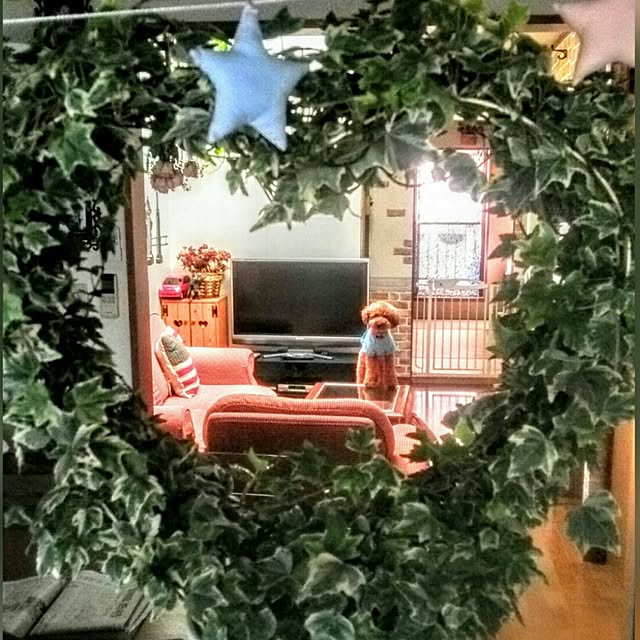 MARONさんの実例写真