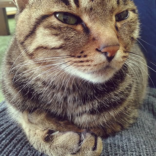 shigimiさんの実例写真