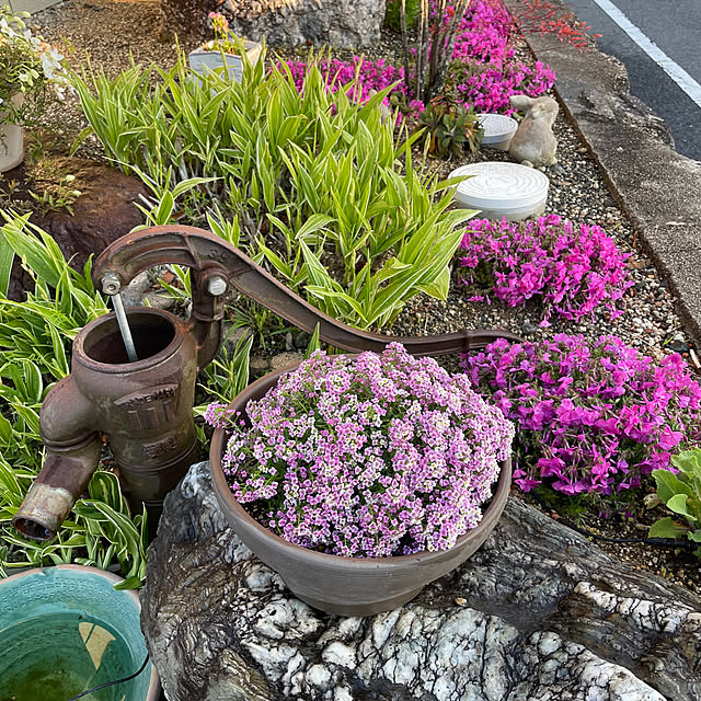 shin0719さんの部屋