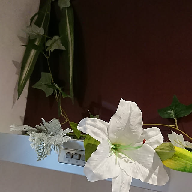 totoroさんの実例写真