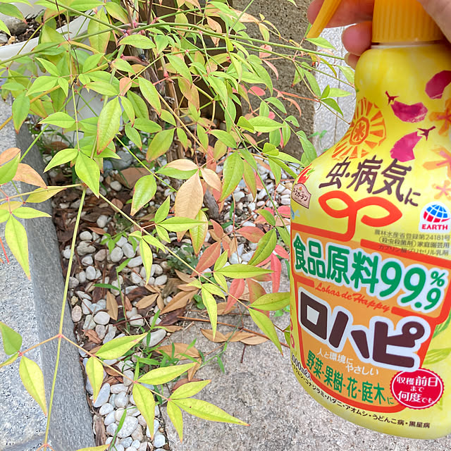 ruruさんの実例写真