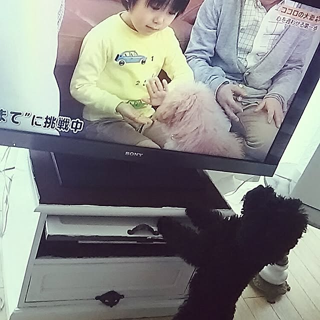 junhimeさんの実例写真