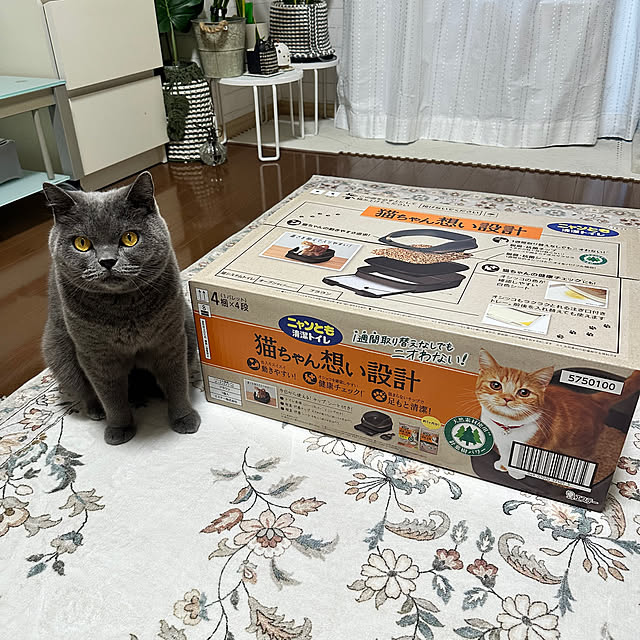 kittyさんの実例写真