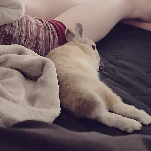 mavo102さんの実例写真